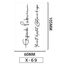 X069